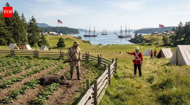 The pig that almost started a war: How a pig shot in 1859 turned a San Juan Island farm dispute into a 12-year Britain-America standoff | World News