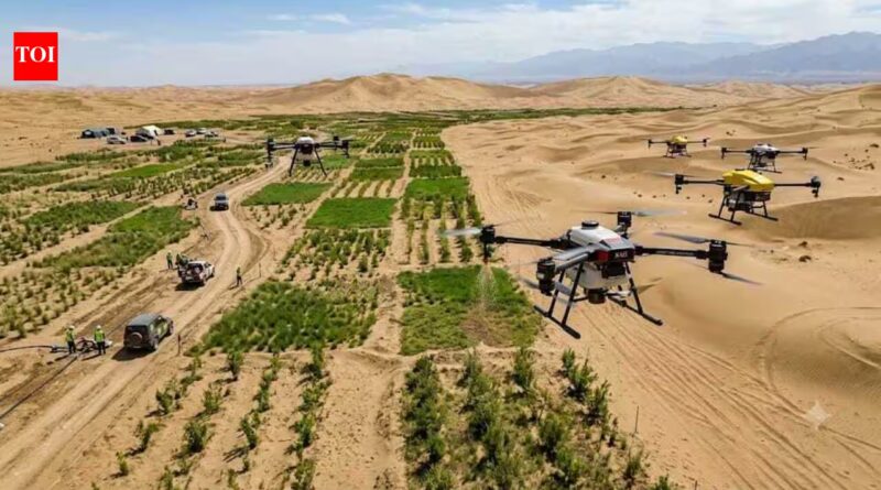Once known as the 'Sea of Death', China's Taklamakan Desert is turning greener with drone technology | World News