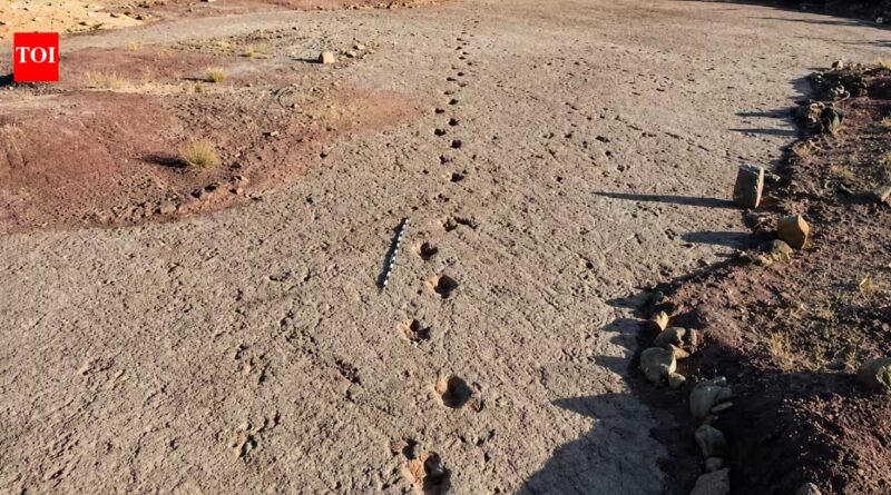 A 66-million-year-old dinosaur highway in Bolivia reveals more than 16,000 fossil footprints from the final days of the dinosaurs |