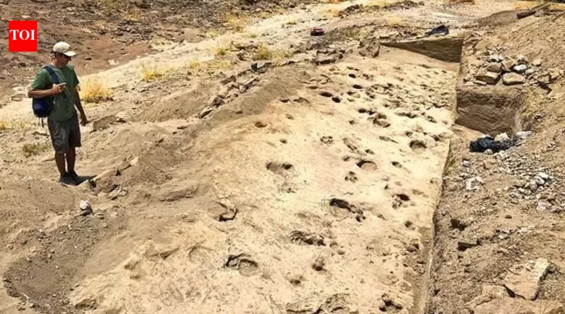 Ancient footprints found in Kenya reveal how early human relatives may have travelled and lived together 1.43 million years ago | World News