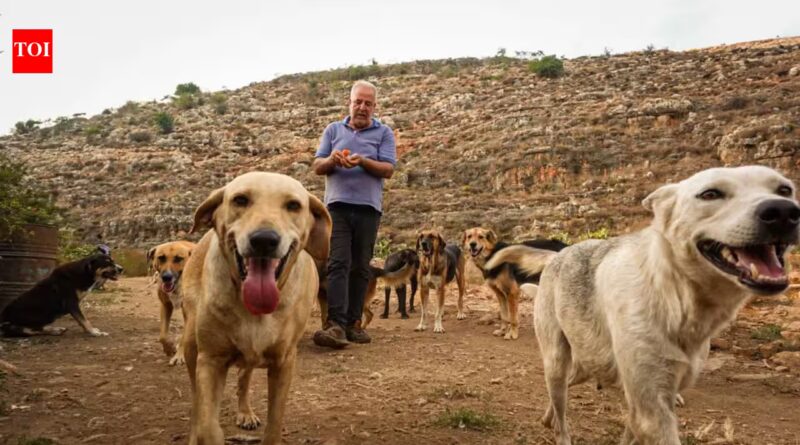 Houssein Hamze’s rescued dog pulled him from bed moments before a bomb struck in 2006; when war returned, he refused to leave Lebanon’s abandoned animals | World News