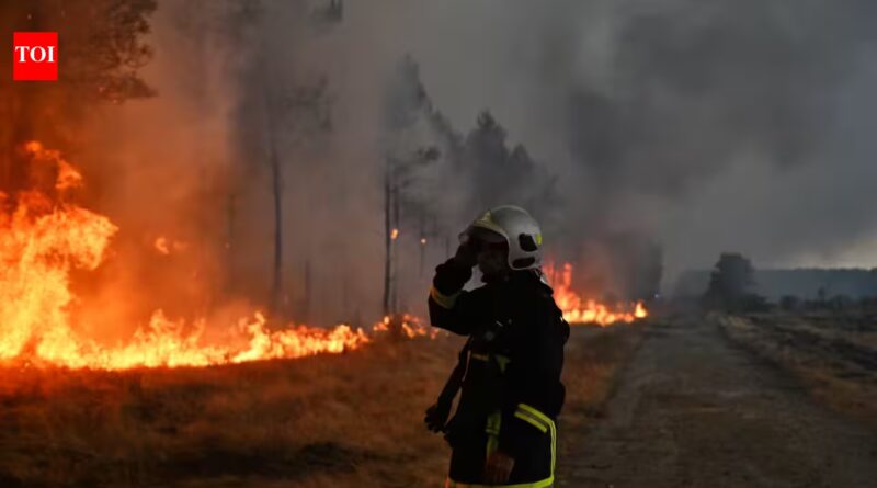 Canada’s 2023 wildfires burned 15.1 million hectares and released 554 million tonnes of carbon; scientists found most came from soil and peat beneath the trees