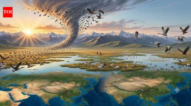Millions of birds follow a 9,000-kilometre invisible highway every year, crossing mountains, deserts and oceans without a map |