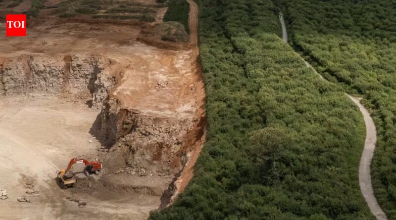 In 1600, Oaken Wood was already an established English woodland; in 2026 Kent proposed quarrying 41 hectares for stone used in historic buildings