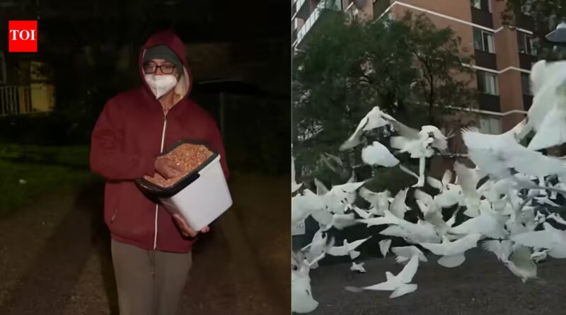 Australia's mysterious 'Birdman' has spent two years feeding birds in the middle of the night, leaving the neighbourhood plagued by a daily 'poo explosion' | World News