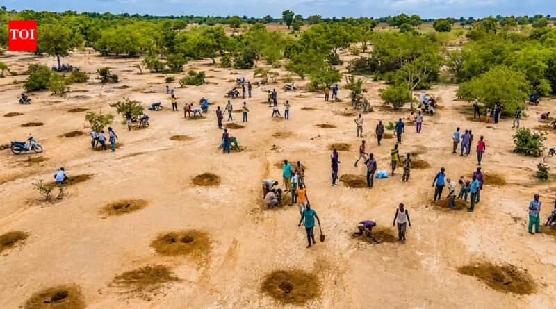 After decades of drought, water is returning to the south of the Sahara Desert as ancient farming techniques and the Great Green Wall breathe new life into the Sahel |