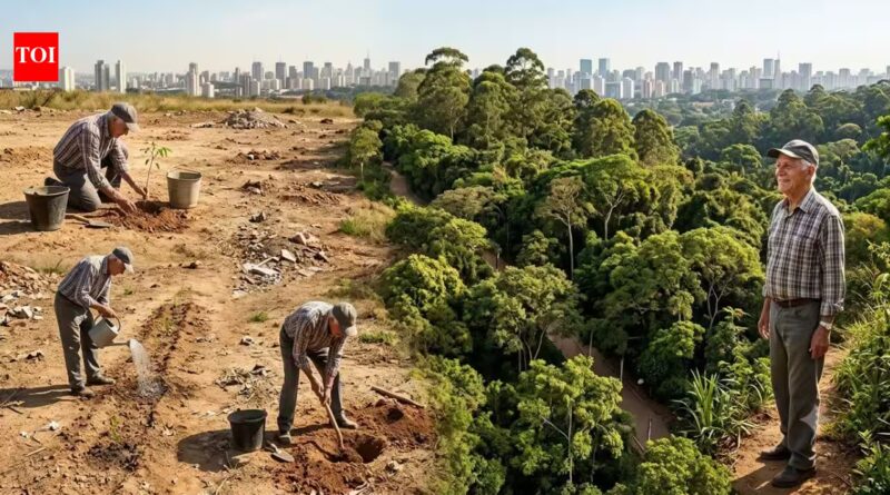 In 2003, a retired man planted trees on forgotten land alone; 20 years later, it had become one of Sao Paulo's largest urban forests | World News