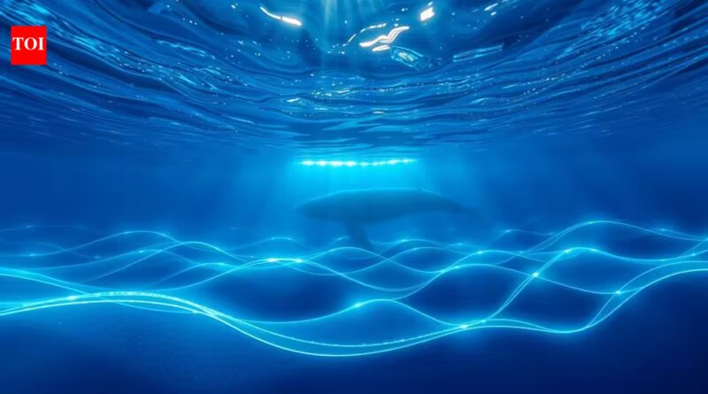 In 1997, a mysterious sound echoed across the Pacific. Years later, scientists traced the 'Bloop' to Antarctica |