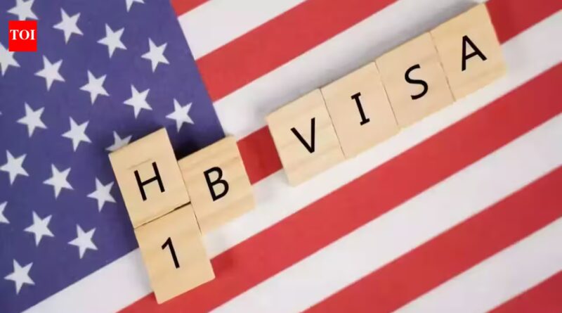 Travel alert for visa holders in US: Immigration experts say domestic flying has become risky, alarming rise in number of airport arrests