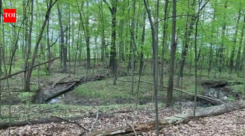 A Michigan woman owns 19 acres between two planned Toll Brothers communities; she is suing over her only access route and a proposed wastewater discharge