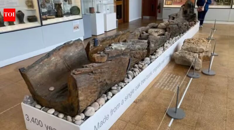 Bronze Age: How a 3,400-year-old Bronze Age log boat helped archaeologists uncover thousands of years of life along the River Trent | World News