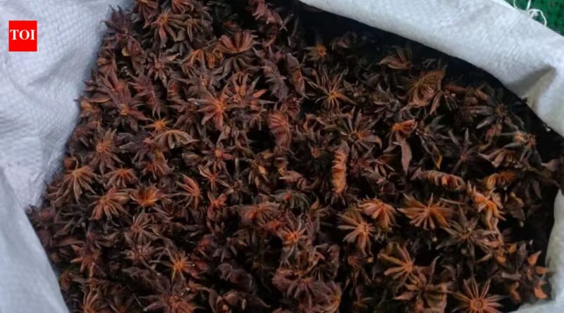 In Indian Himalayas, a wild spice is helping 200 families protect 100 sq km of forest while generating an income of Rs 39 lakh