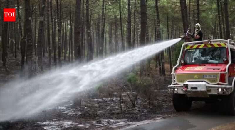 Bordeaux vineyards escaped the immediate wildfires, but repeated heatwaves and nearly two months without sufficient rain are shrinking grapes and accelerating the 2026 harvest