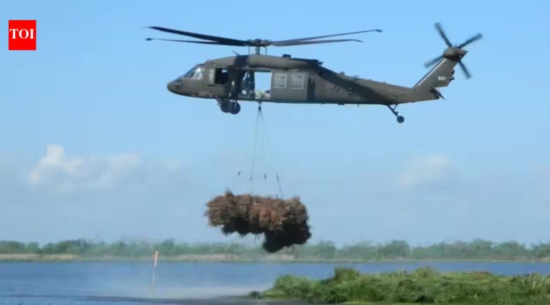 New Orleans: New Orleans collected 9,000 discarded Christmas trees and airlifted them into coastal wetlands; the programme has restored marsh equal to nearly 200 football fields