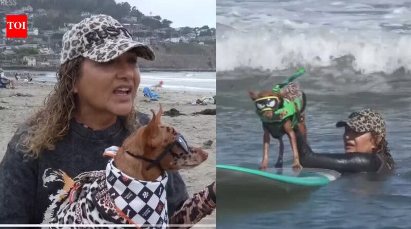 ​From cancer survivors to surfing stars: California woman and her dog beat cancer before competing together at the World Dog Surfing Championships | World News
