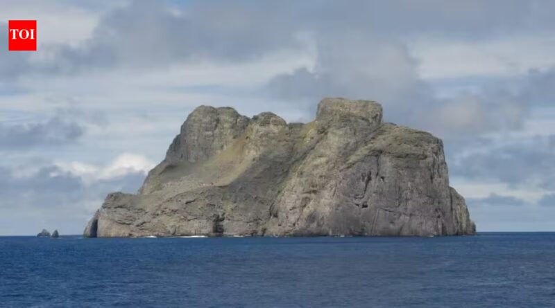 Colombia intercepted a boat near the Malpelo sanctuary carrying 1,764 pounds of marine animals; officials are investigating illegal fishing