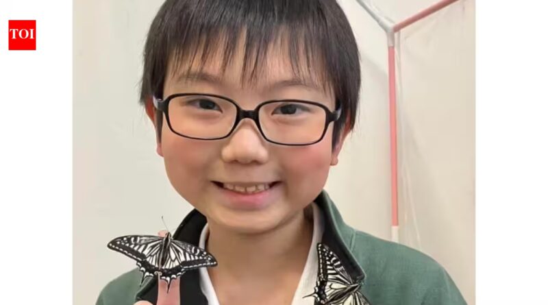 Meet Jo Nagai: 10-year-old Japanese student who discovered butterflies can remember their time as caterpillars after he noticed that the caterpillars he had raised to recognise him after turning into butterflies | World News