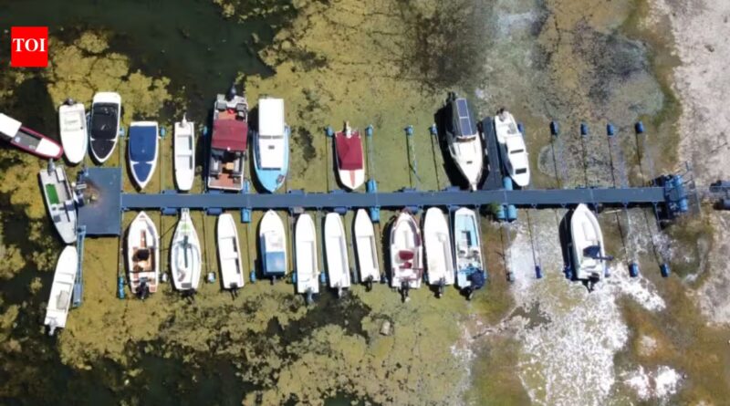 Danube: Europe’s Danube, Rhine and Loire are shrinking under heat and drought, disrupting shipping, power generation and tourism