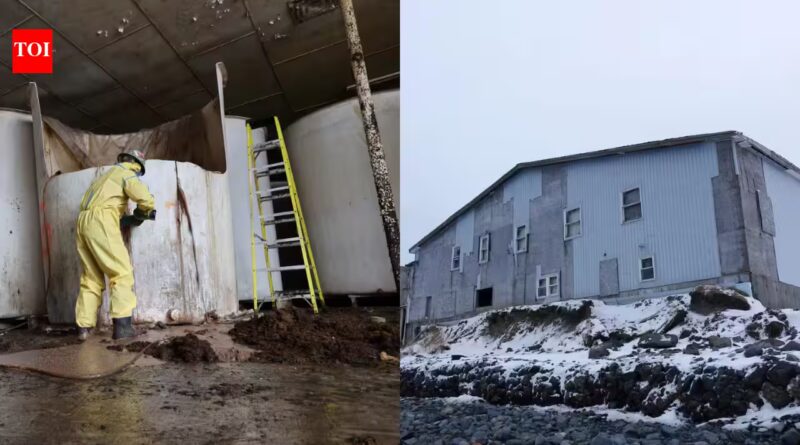 More than 330,000 gallons of rotting fish sauce in a Canadian town are finally being removed after 20 years of unbearable stench | World News