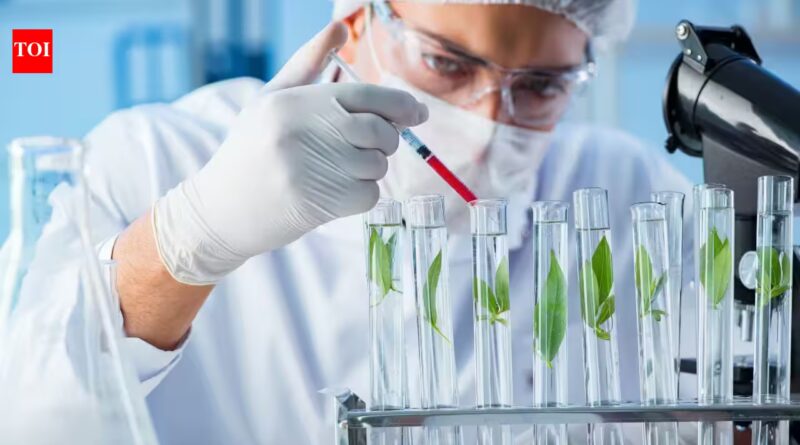 Wolfsbane and larkspur can paralyse in tiny doses; scientists found six enzymes that could help turn their chemistry into future medicines