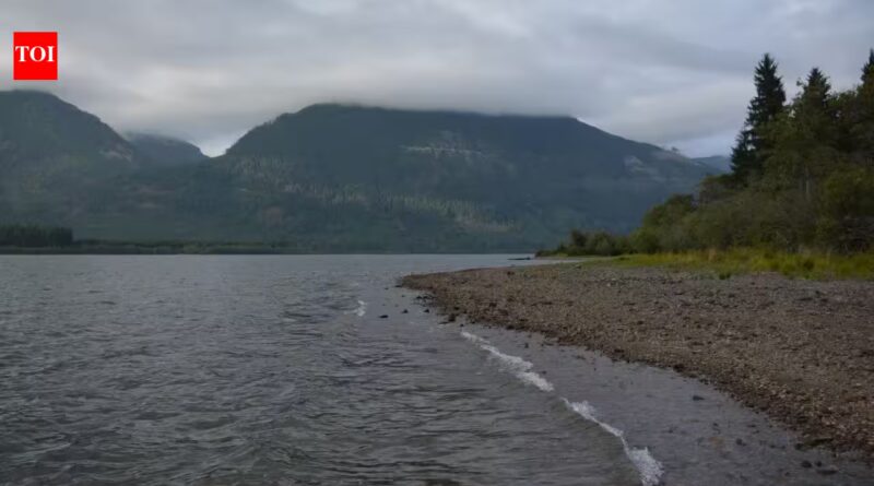 British Columbia funded the restoration of 70 hectares in the Cowichan Estuary; without the project, 60% of its marsh could disappear by 2100
