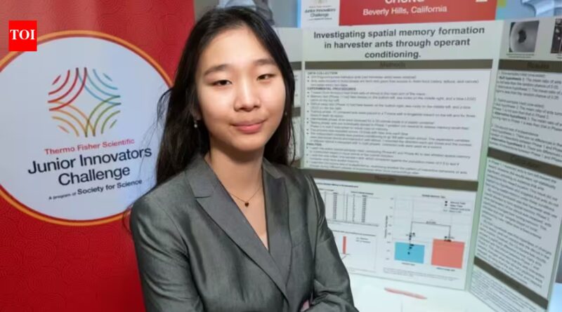 Meet Seungah Chung, the US eighth-grader who used 200 ants and a maze to discover they navigate by landmarks