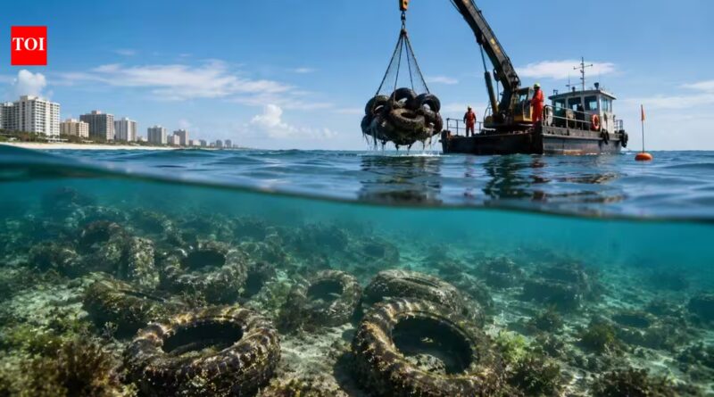 In the 1970s, the US dumped up to 2 million tyres off Florida's coast to help marine life. More than 50 years later, the cleanup is still underway | World News
