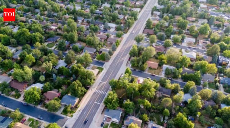 Chicago: Chicago study links more urban tree cover to fewer deaths; adding 14,000 trees a year was tied to 105 fewer deaths