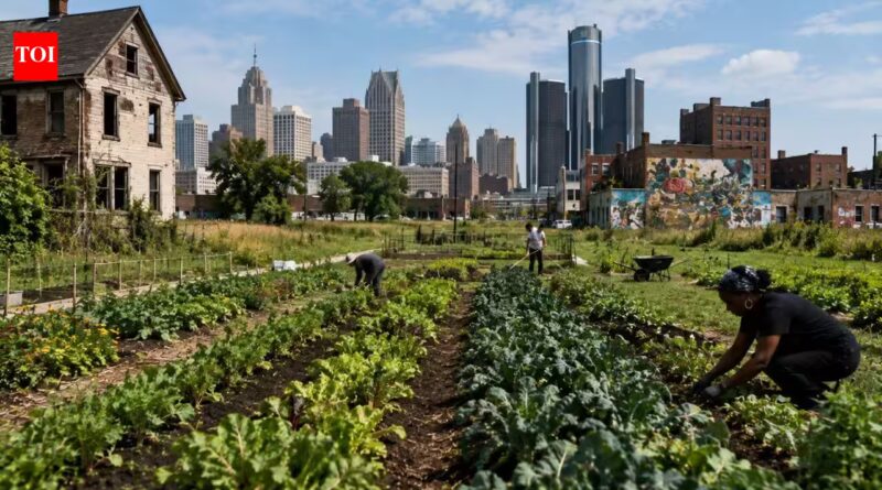 Detroit was built for 2 million people, but its shrinking population turned abandoned lots into one of America's largest urban farming movements | World News