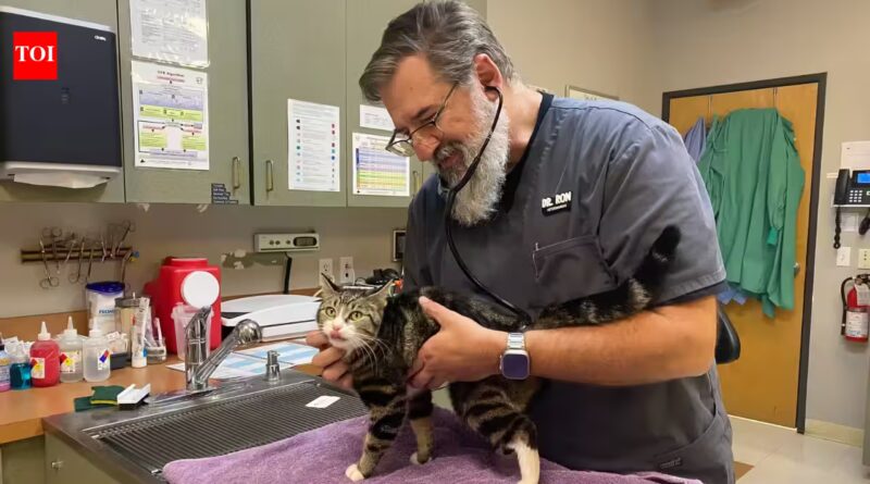 In 2023, an Oregon veterinarian left a $150,000 job to ‘soft retire’; three years later, relief work pays about twice as much