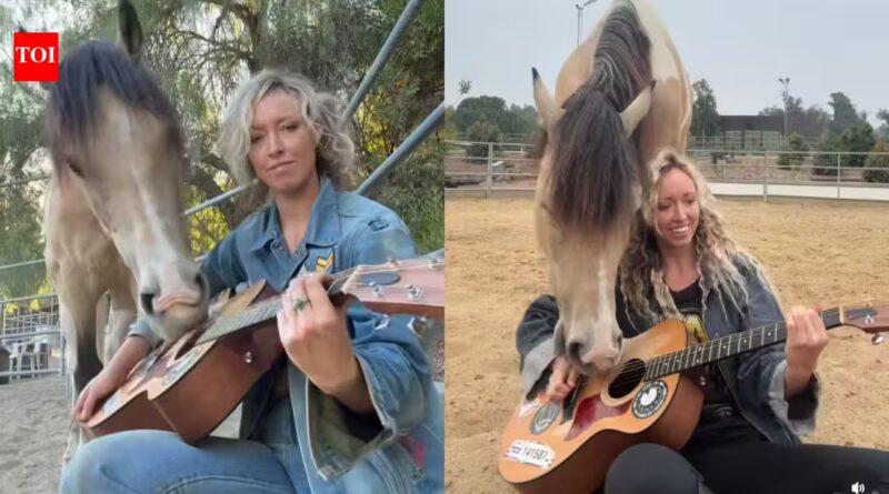 Los Angeles singer taught her rescue horse to play the guitar and harp, and now they are releasing an album together | World News