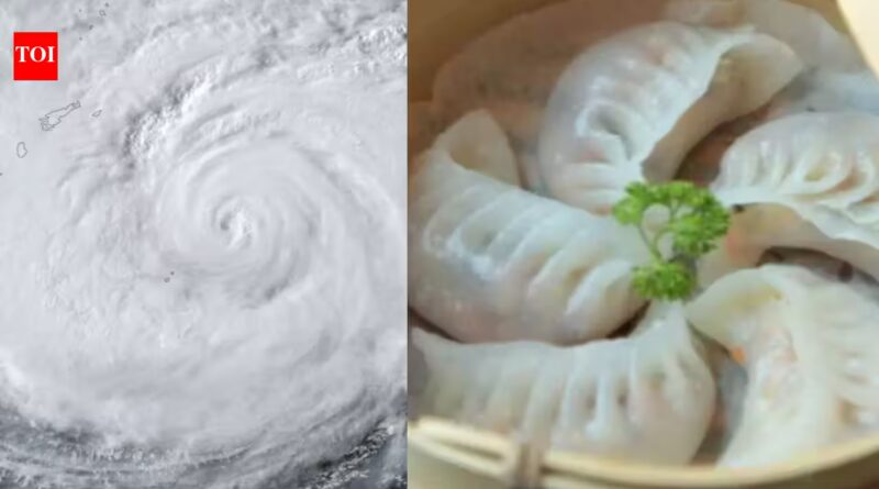 From Typhoon Dim-sum to frogs and snakes: Asia’s cyclones feature unusual names