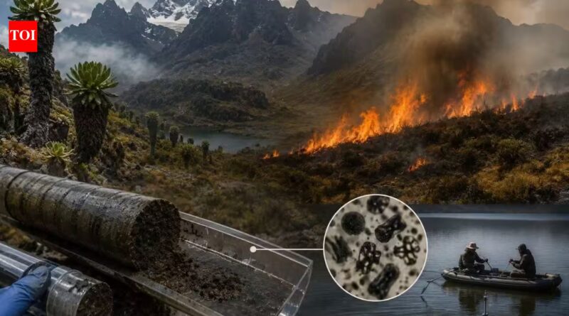 In 2012, a wildfire scorched 42 sq km of the Rwenzori alpine zone; lake cores showed it was the first large-scale fire there in 12,000 years, with charcoal jumping over 100-fold