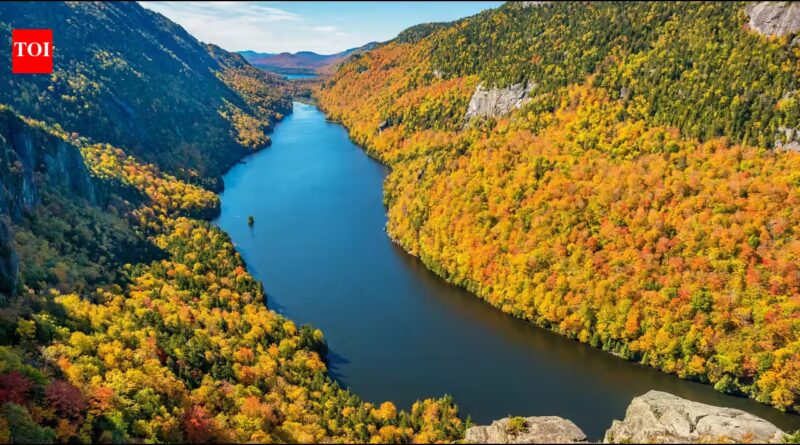 Researchers mapped more than 100 lakes across 1,000 kilometres of Brazil and Uruguay; the network could detect ecosystem stress before irreversible damage