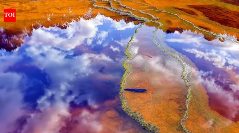 Spain's blood-red Río Tinto river is as acidic as vinegar, and Nasa says it could help scientists find life on Mars | World News