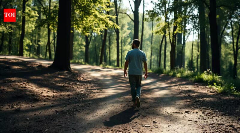 Korean proverb of the day and its lessons: 'If you don't walk today, you must run tomorrow'