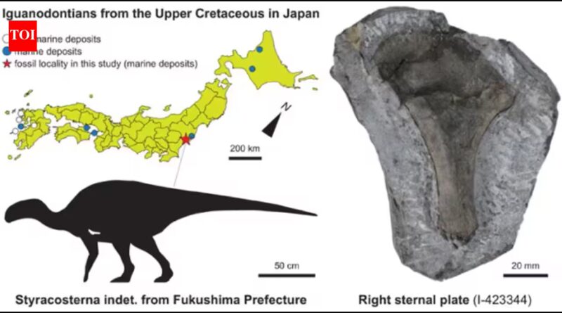 In 1999, a dinosaur bone was found on Japan’s Fukushima coast and left unstudied; in 2026, scientists identified it belonged to a 3-metre iguanodontian that lived 90 million years ago