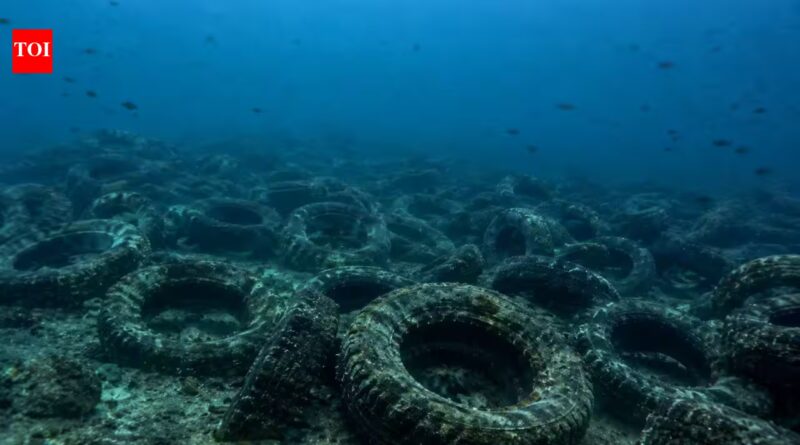 Florida dumped millions of tyres into the ocean to build a reef. More than 50 years later, it is still cleaning them up | World News