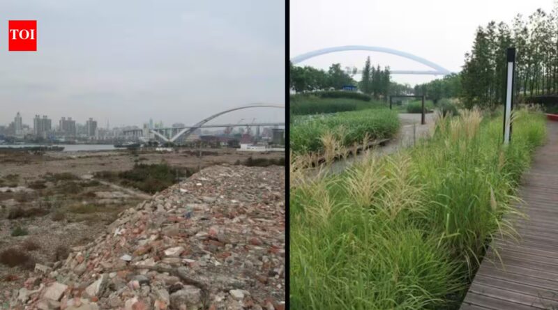 In 2010, Shanghai turned a polluted industrial brownfield into Houtan Park; its wetlands now clean up to 634,000 gallons of river water a day