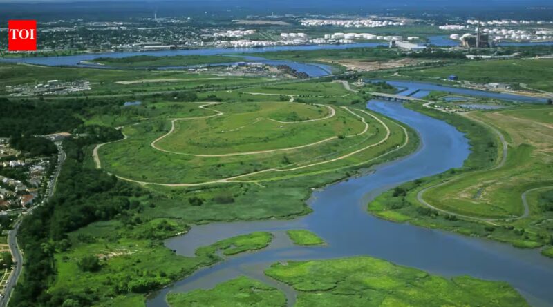 In the 1990s, New York chose wetlands over conventional storm sewers on Staten Island; the Bluebelt strategy saved taxpayers $80 million in infrastructure costs
