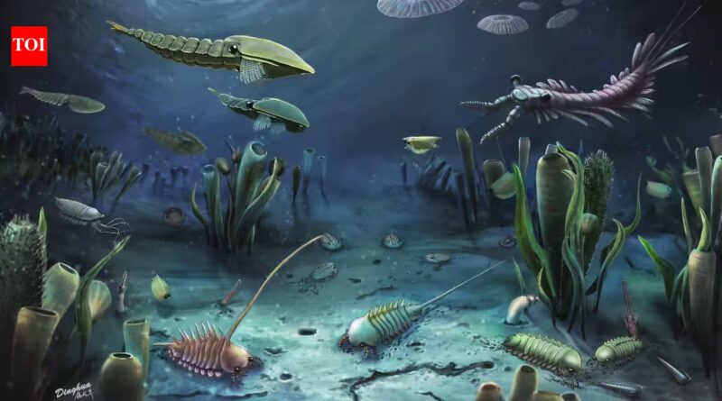 Scientists discovered that animal poop travelled across oceans 540-million-years ago and triggered the evolution of life on earth |