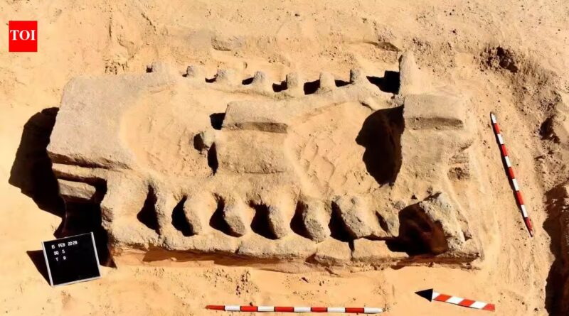 3,500-year-old residential complex discovered in Egypt with connections dating back to the bible era | World News