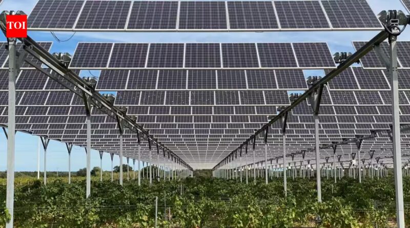 A French winemaker spent €4 million on 6,000 solar panels to protect grapes from heat and hail, but lost the official cognac label | World News
