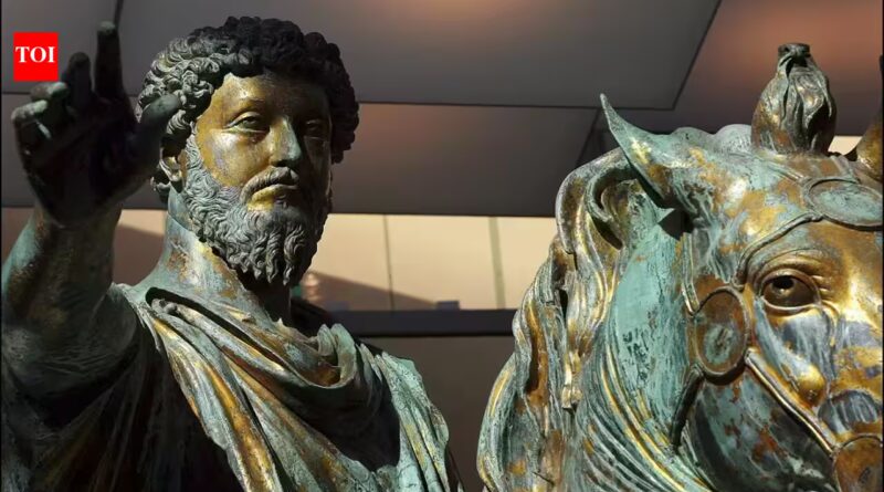 Quote of the day by Marcus Aurelius: 'What stands in the way becomes the way'
