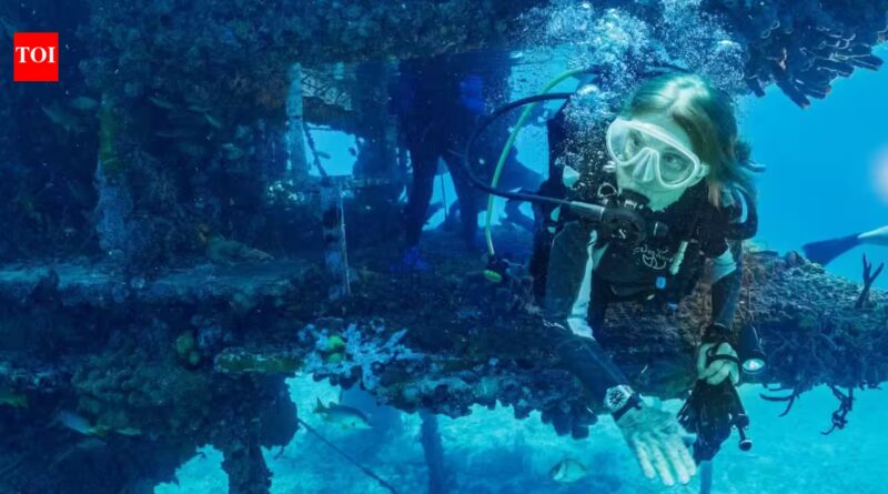In 1970, Sylvia Earle led five women into an underwater lab for 14 days, helping prove humans could live and work beneath the sea | World News