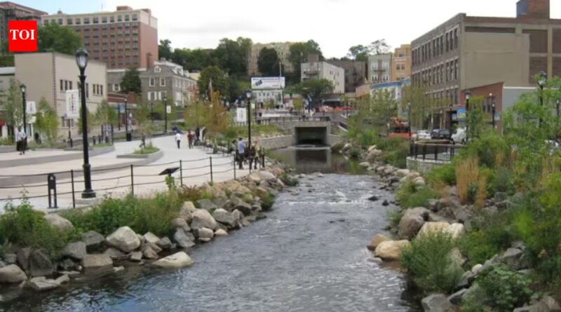 River: In 2012, Yonkers tore up a downtown parking lot to uncover a river buried for decades; within six months it had created 14,000 sq ft of aquatic habitat